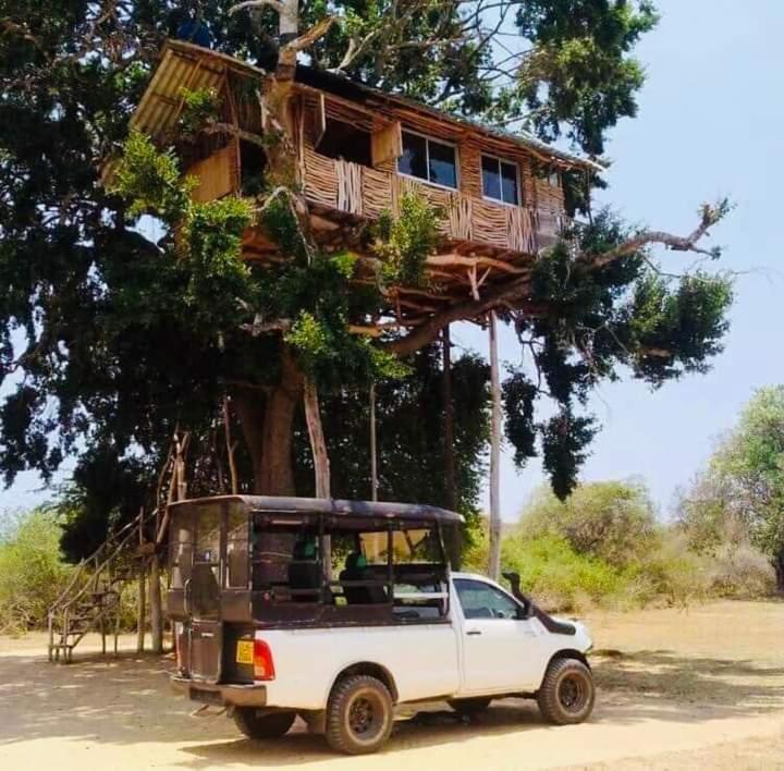 Hotel Yala Dream Park Exterior foto