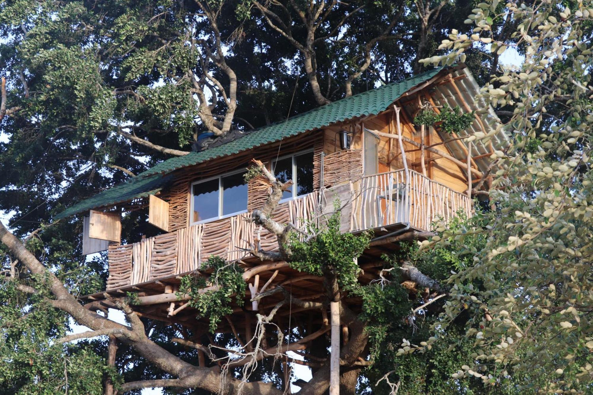 Hotel Yala Dream Park Exterior foto