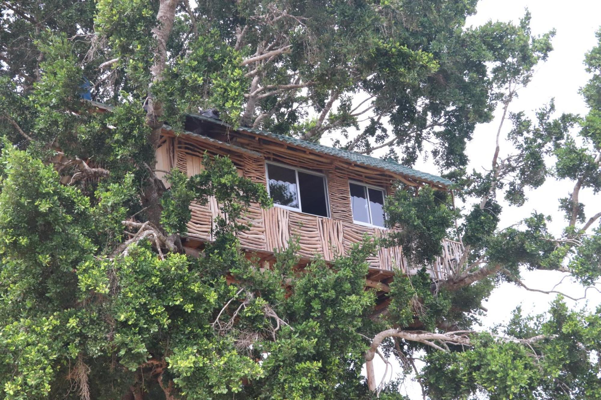 Hotel Yala Dream Park Exterior foto