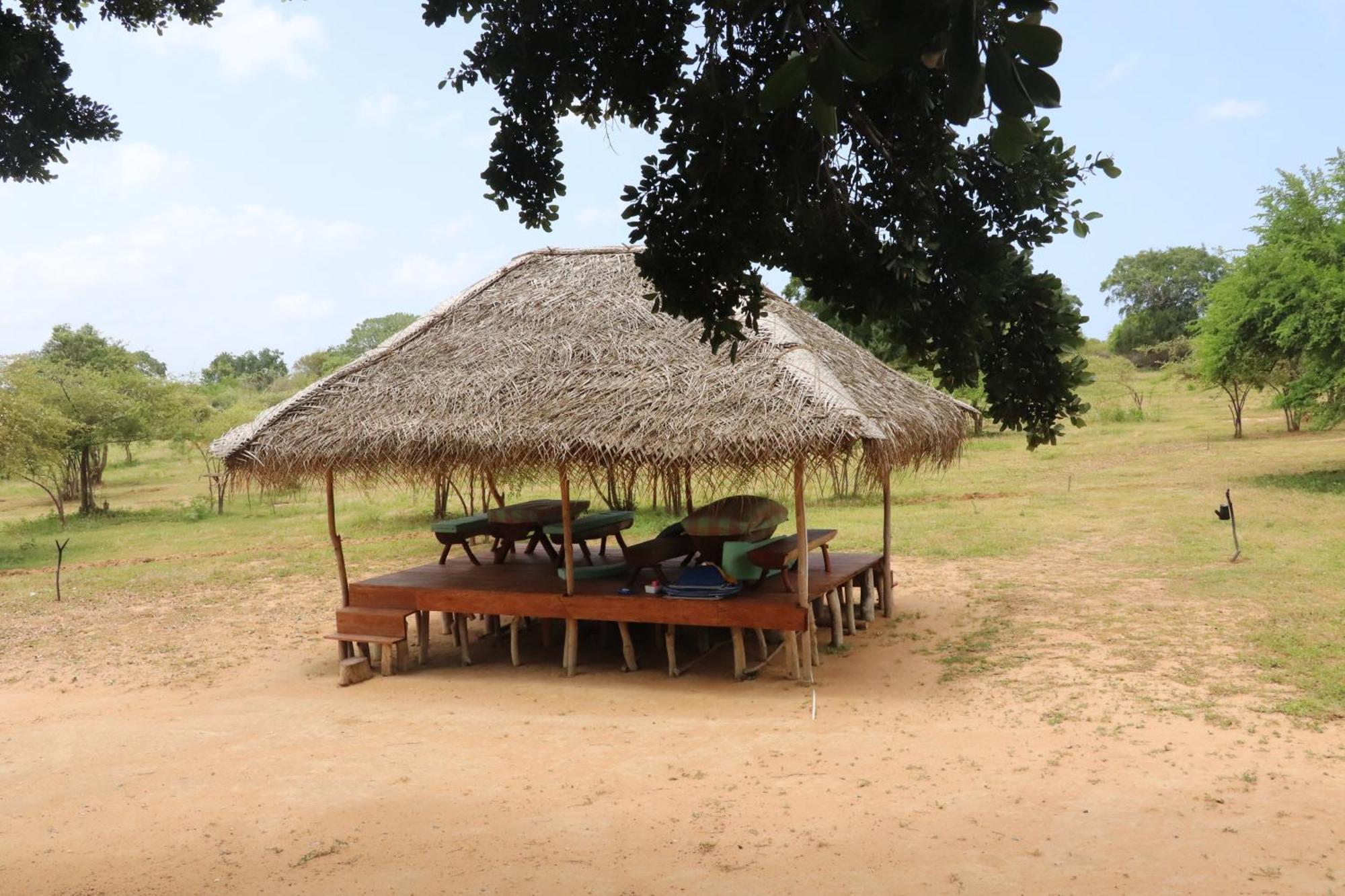 Hotel Yala Dream Park Exterior foto