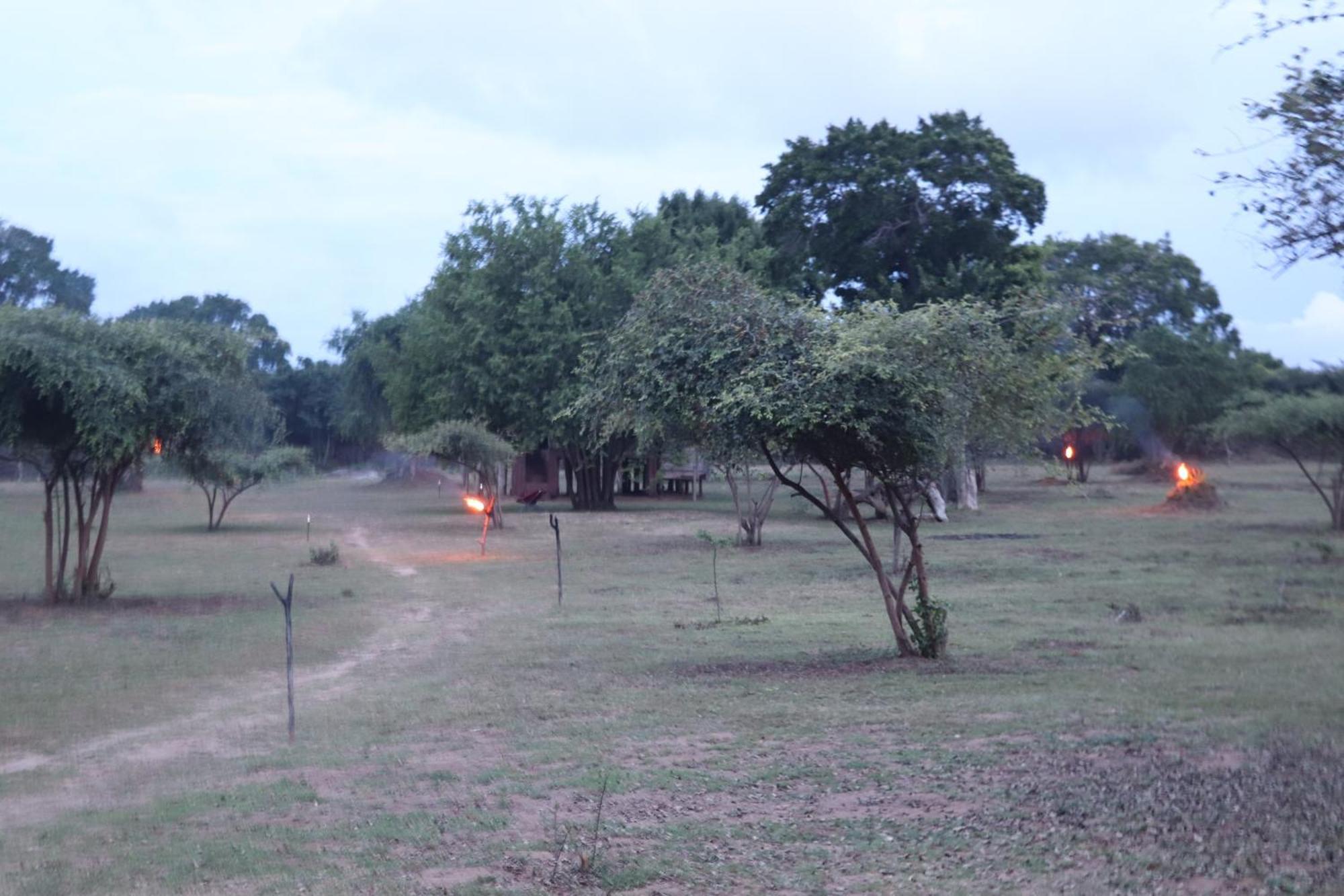 Hotel Yala Dream Park Exterior foto