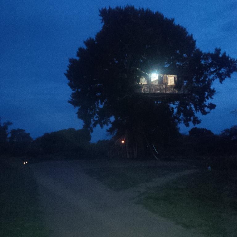 Hotel Yala Dream Park Exterior foto