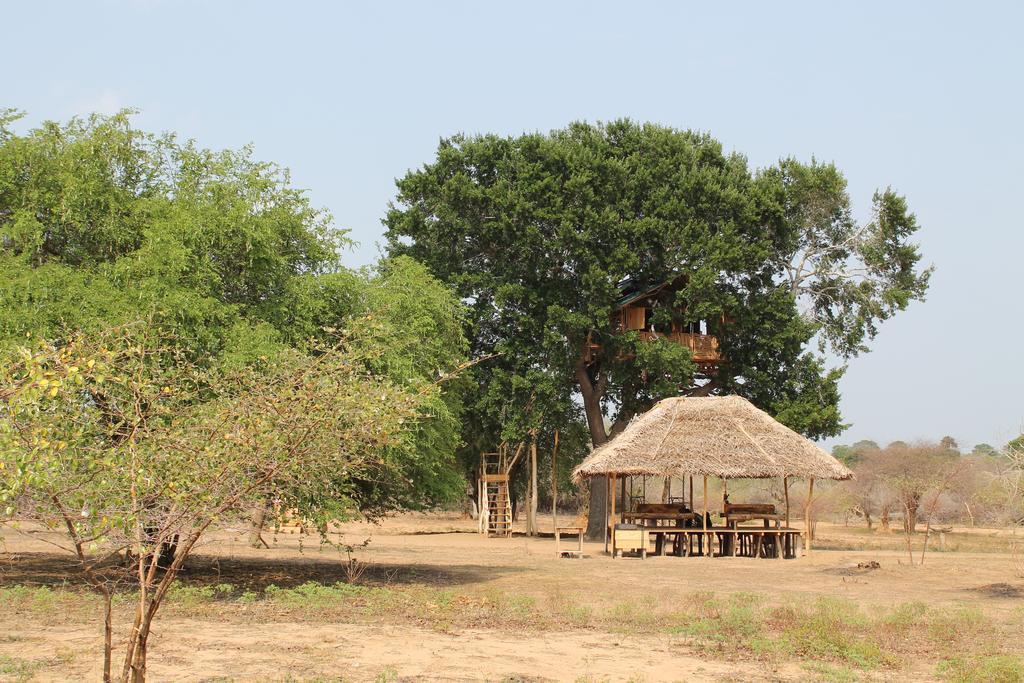 Hotel Yala Dream Park Exterior foto