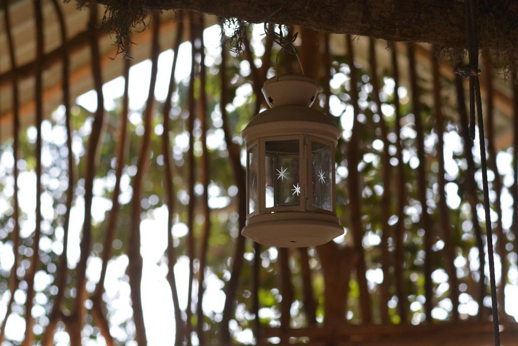 Hotel Yala Dream Park Exterior foto