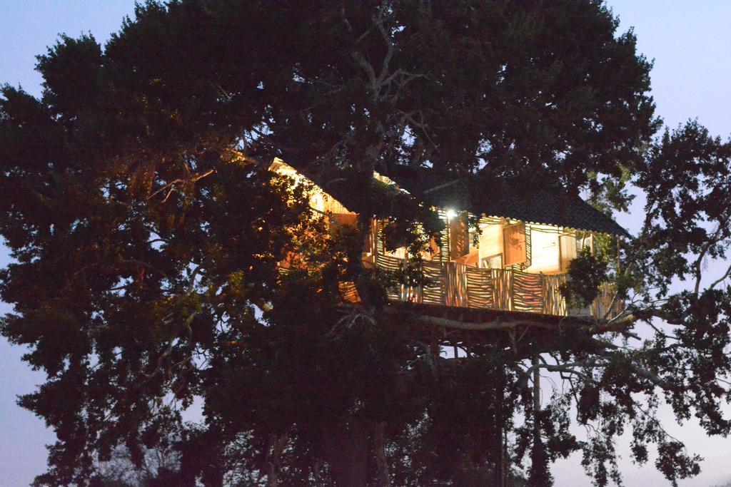 Hotel Yala Dream Park Exterior foto
