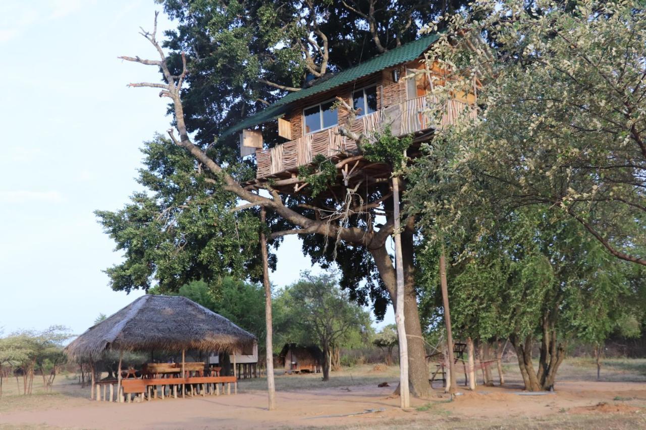 Hotel Yala Dream Park Exterior foto